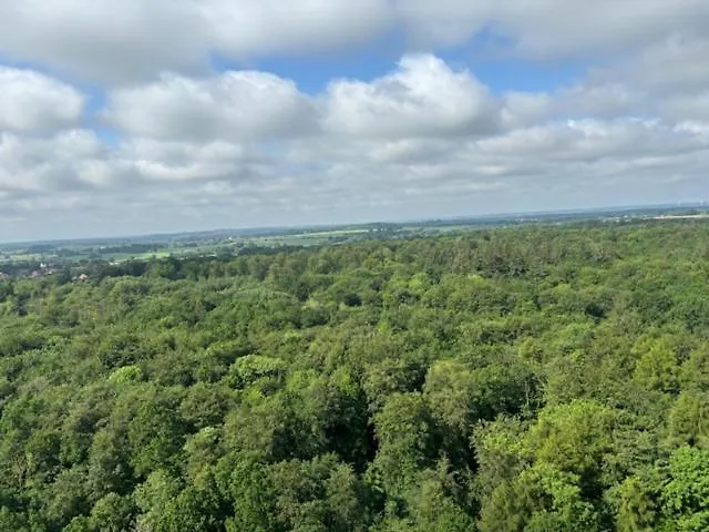 Himmlischer Ausblick